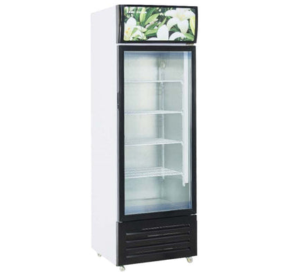 Upright Beverage Display